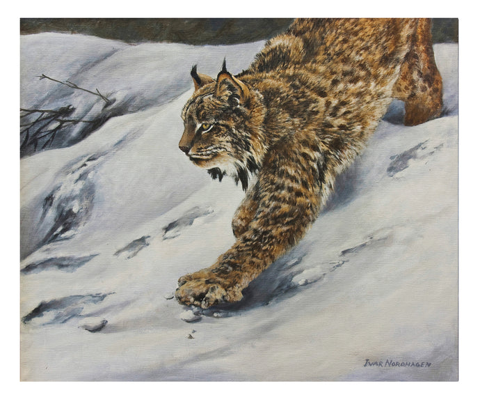 Gicleetrykk av oljemaleriet På sporet, av kunstneren Ivar Nordhagen.